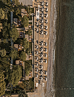 Balmy Beach Resort